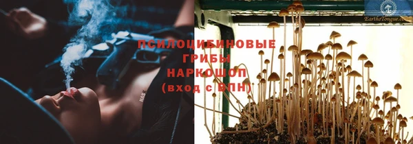 дживик Сатка